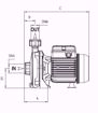 Immagine di FORAS KM80/1T V.380 ELETTROPOMPA CENTRIFUGA